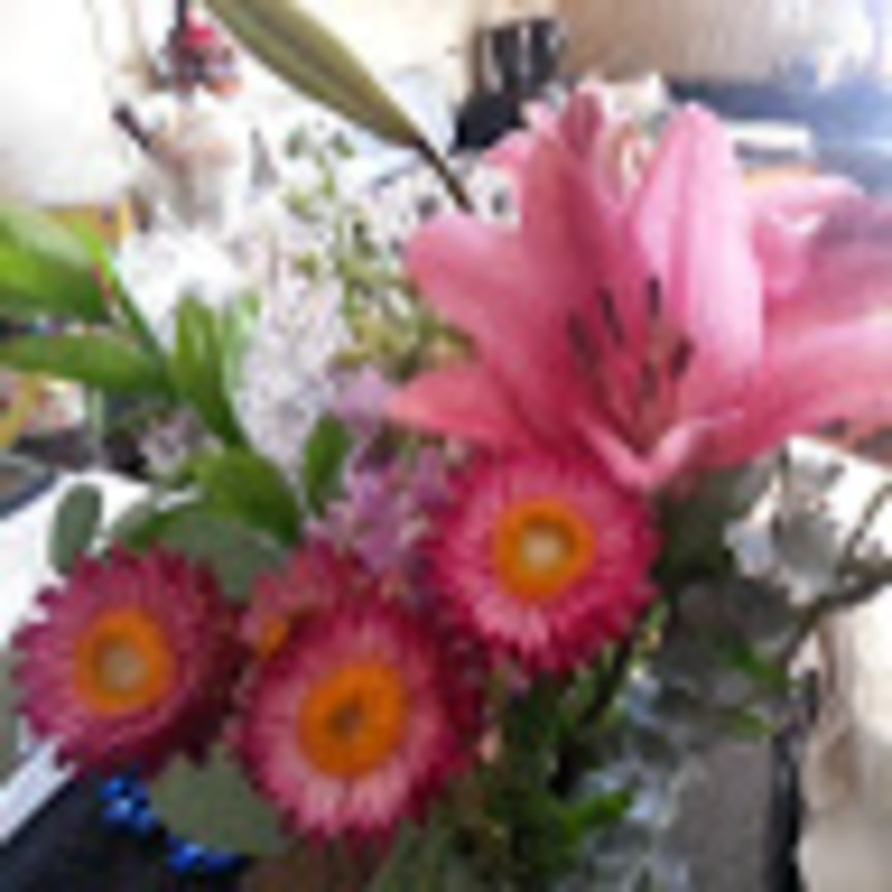 Meet your Posher, Julie